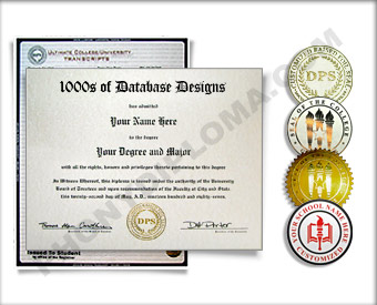 Fake College Diploma with Transcripts